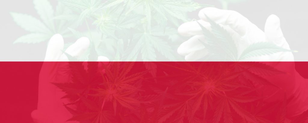 medyczna marihuana w Polsce