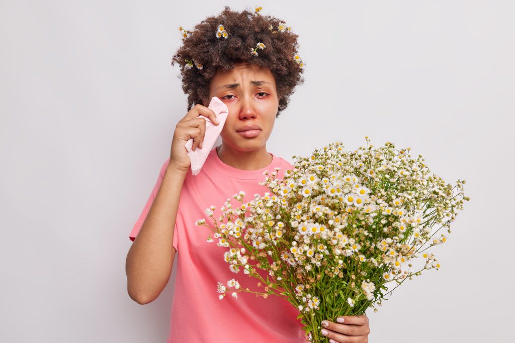 all egry symptoms. Unhappy curly haired Afro American woman rubs red watery eyes with tissue holds bouquet of camomile flowers being allergic to pollen isolated over white background. Hay fever